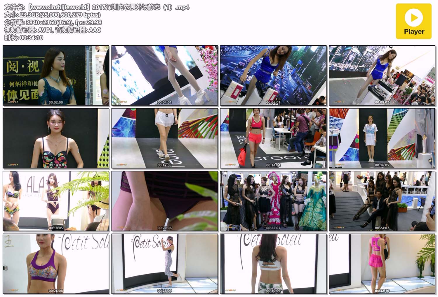 [4K画质]2017深圳内衣展外场静态（1）[1V/63G][百度网盘]