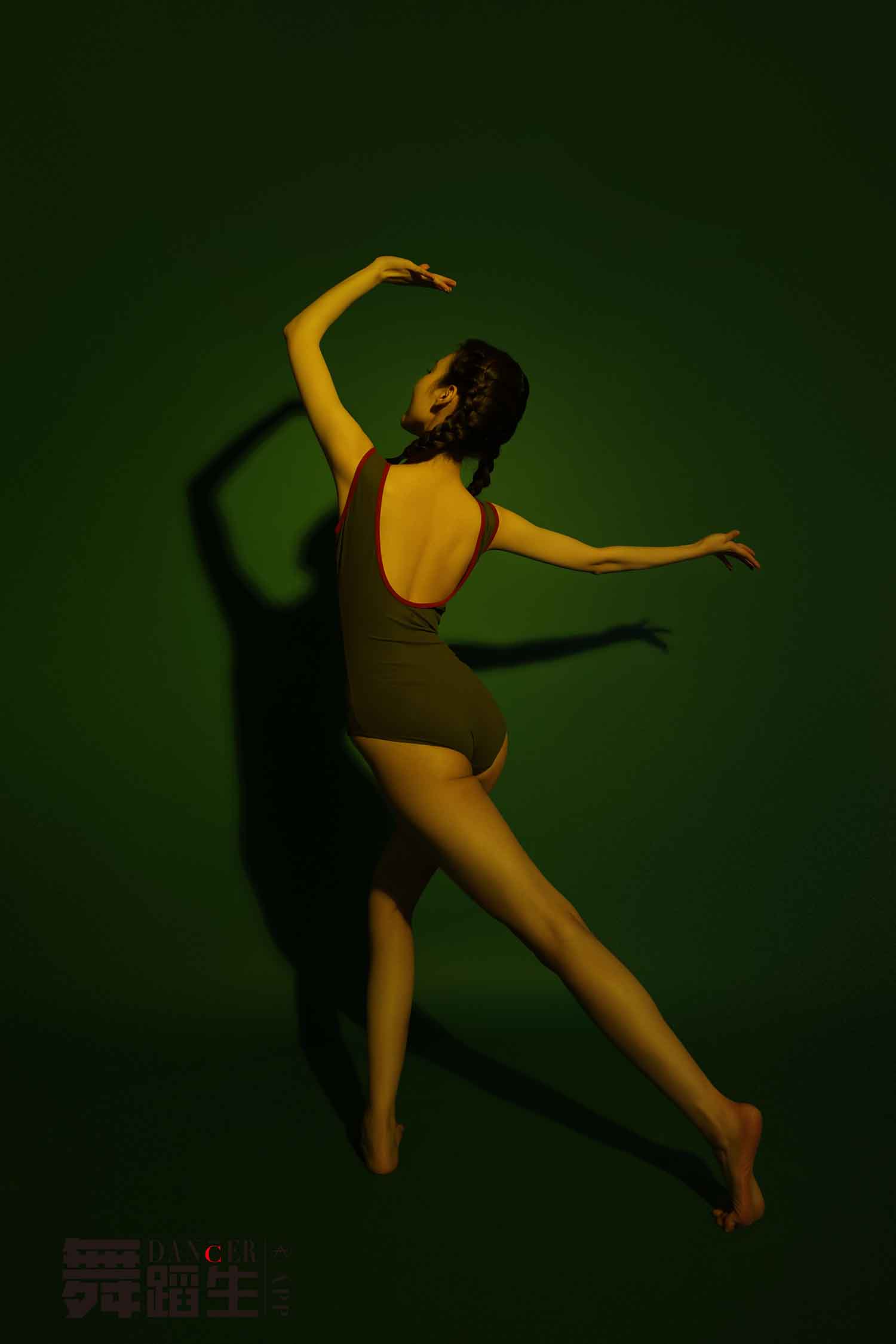 [舞蹈生日记]091-GALLI嘉丽-芳华[百度网盘下载]